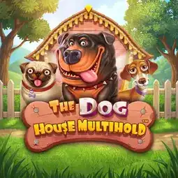 The Dog House Multihold game at Rialto Casino for United Kingdom players